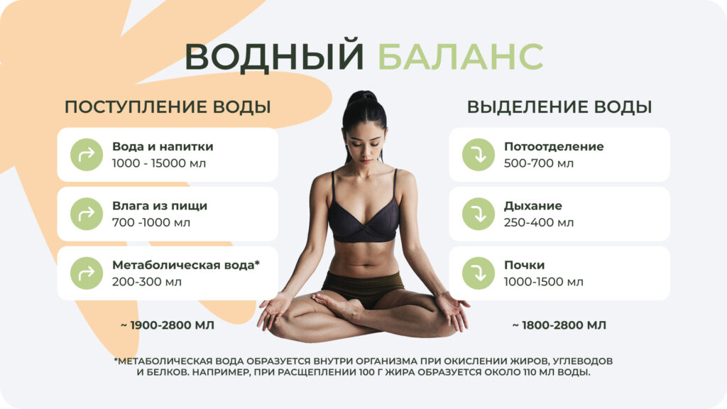 Водный баланс в организме
