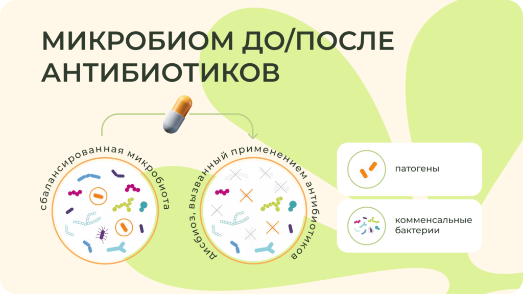 Антибиотики действуют неселективно, уничтожая как патогенные, так и полезные бактерии