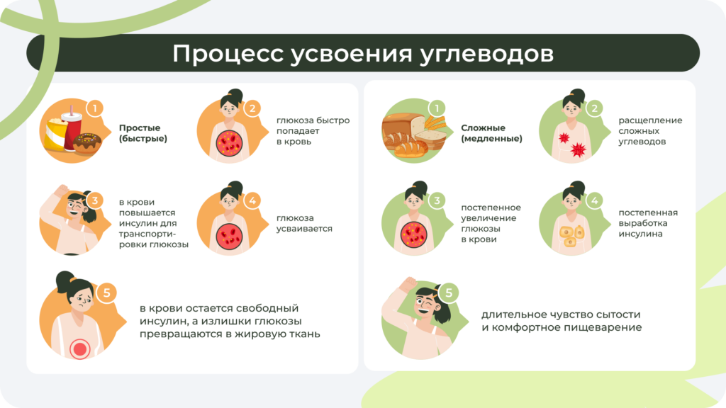 Сравнение усвоения сложных и простых углеводов