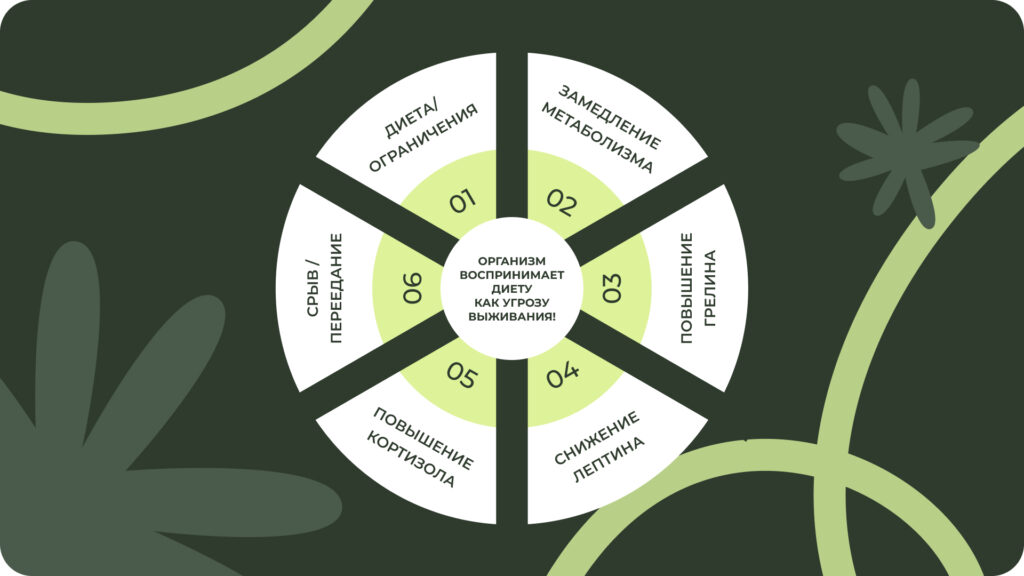 Круговая диаграмма:  повторяющийся цикл от диет к перееданию