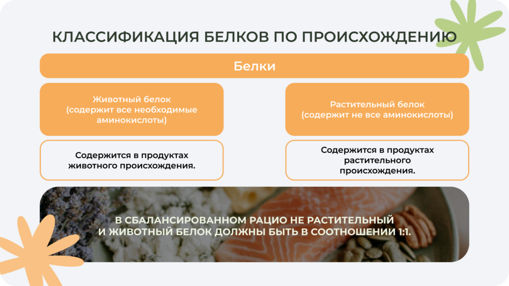 По происхождению белки делятся на животные и растительные
