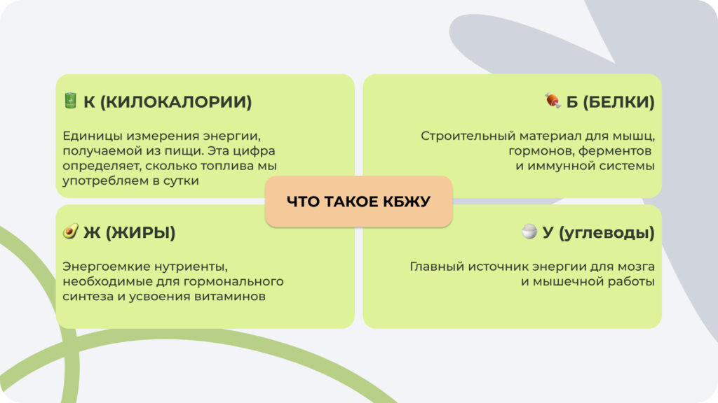 Баланс КБЖУ играет важную роль в поддержании здоровья Расшифровка КБЖУ