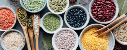 Растительный белок: чем заменить мясо в питании без вреда для здоровья