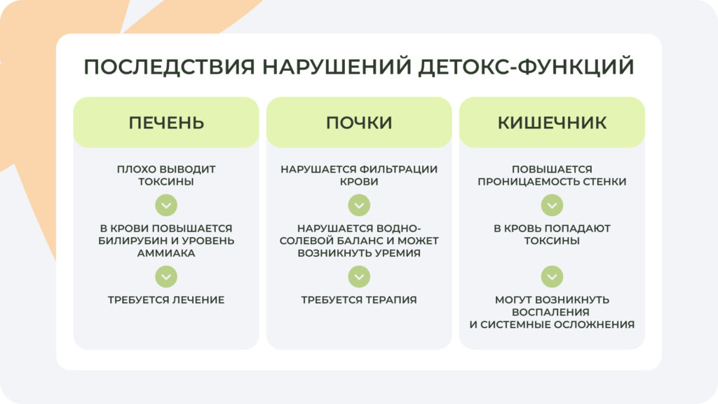 Схема последствий нарушения детокс-функции