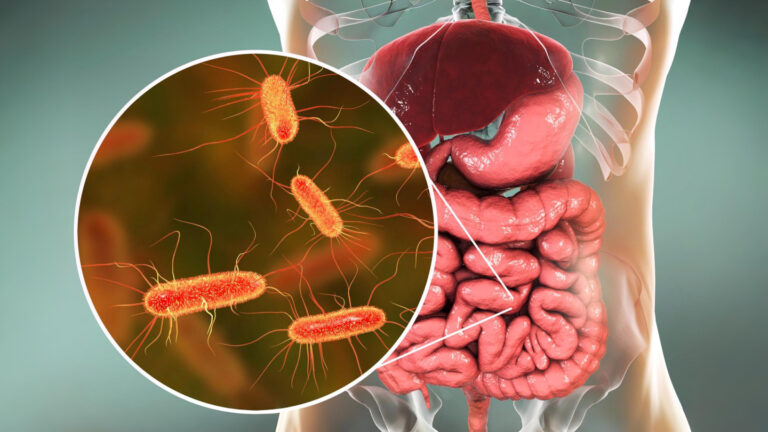 Обложка статьи о СИБР