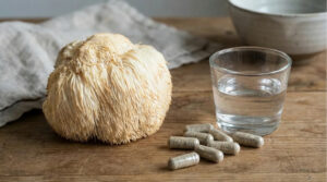 Ежовик гребенчатый: природный ноотроп для восстановления нейронов и улучшения памяти