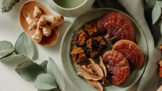 Лекарственные грибы: сила чаги и рейши для иммунной системы и долголетия