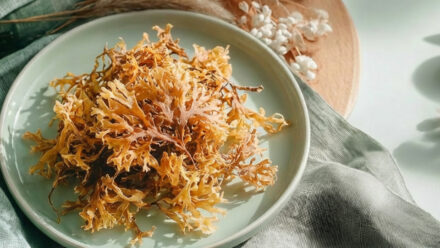 Морской мох и водоросли: почему они так популярны и действительно ли полезны