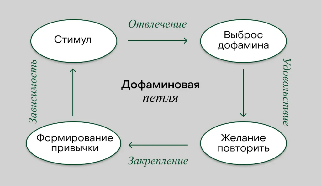 Дофаминовая петля Когда подростки едят и смотрят видео одновременно, запускается дофаминовая ловушка: мозг видит еду на экране (стимул) → выбрасывается дофамин → появляется удовольствие → возникает желание повторить это снова